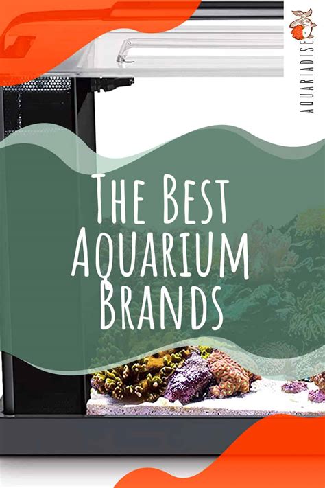 The Best Aquarium Brands For Your Fish Friends .